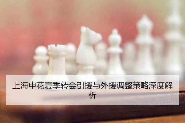 上海申花夏季转会引援与外援调整策略深度解析